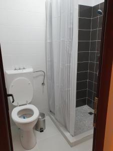 uma casa de banho com um WC e um chuveiro em NANA"S HOUSE APARTAMENT 2 Camere,2 bai em Sibiu