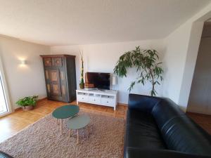 Телевизор и/или развлекательный центр в Apartment in Swiss Chalet Träumli