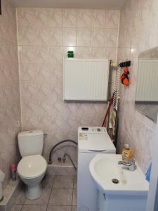 een kleine badkamer met een toilet en een wastafel bij Emilka in Suwałki