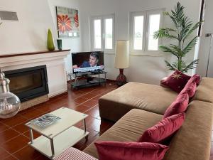 a living room with a couch and a tv at Penthouse Alentejana in Vila Nova de Milfontes