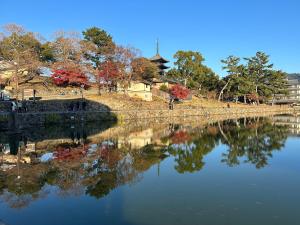 un riflesso di alberi in un parco acquatico di Ryokan Kousen Kazeya Group a Nara