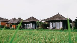 Vrt ispred objekta Kayangan Villa Ubud