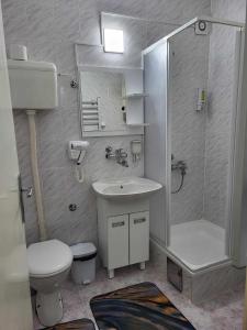 ein Bad mit einem WC, einem Waschbecken und einer Dusche in der Unterkunft Apartman Nina, Kopaonik, Brzeće, Kod Gondole in Brzeće