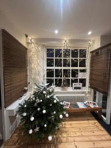 un arbre de Noël dans un salon avec une fenêtre dans l'établissement Hotel Eden, à Saint-Malo