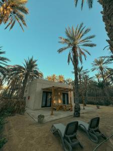 une maison sur la plage avec 2 chaises et des palmiers dans l'établissement Villa Taouzert, à Tozeur