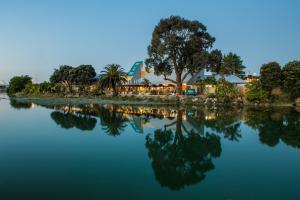 een weerspiegeling van een boom in een waterlichaam bij Tides Hotel in Nelson