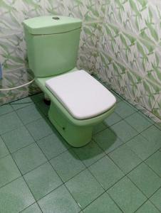 een groen toilet in een badkamer met een muur bij NMA Holiday Inn in Jaffna