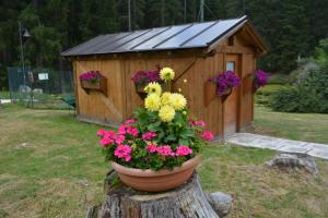 un pot de fleurs sur une mâchoire d'arbre avec un hangar en bois dans l'établissement Chalet Al Lago, à San Vito di Cadore