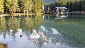 un lac avec une maison au milieu dans l'établissement Chalet Al Lago, à San Vito di Cadore