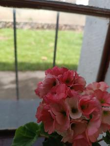 Um ramo de flores cor-de-rosa sentado numa janela. em Casa Jardin Copacabana em Copacabana