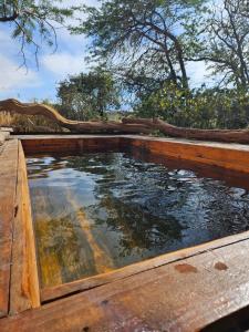 - une piscine d'eau sur une terrasse en bois dans l'établissement Anka Lodge Quitor, à San Pedro de Atacama