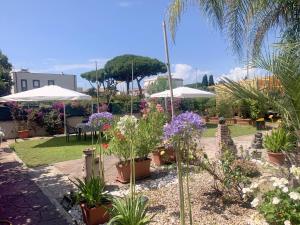 een tuin met potplanten en parasols bij Il Giardino Di Adriana B&B in Terracina