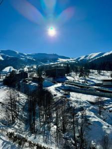 Priroda u blizini apartmana