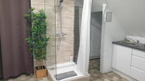 un bagno con doccia con due piante di Au 36, Les Apparts Hotel Joigny a Joigny