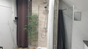 bagno con doccia e porta in vetro di Au 36, Les Apparts Hotel Joigny a Joigny