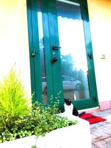 A garden outside Confortevole Appartamento Il Sorriso piano terra ingresso e parcheggio indipendente per una tranquilla privacy