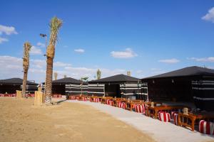 Foto de la galería de Al Marmoom Oasis "Luxury Glamping & Bedouin Experience" en Dubái