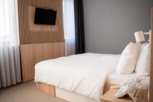 a hotel room with a bed and a television at Olivia Rooms in Belgrade