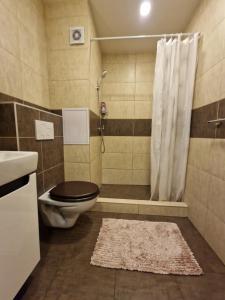 Un baño de Apartman Valentina