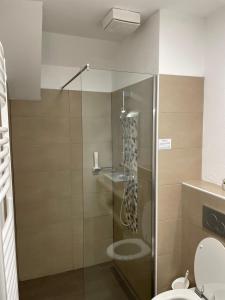 a bathroom with a glass shower with a toilet at Guesthouse Stari Mayr in Kranj