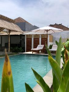 Басейн в NOMAD Tropical Hostel Canggu або поблизу