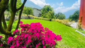 un giardino con fiori rosa in un cortile di Bed and Breakfast Soffio di Vento a Pont-Saint-Martin