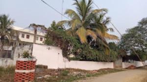 un edificio blanco con una palmera delante en Vedic Villa,Varanasi, en Varanasi