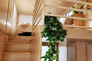 una habitación con una escalera con una planta verde en Tiny home near Grand Canyon sleeps 5, epic views!, en Flagstaff