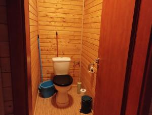 ein kleines Bad mit einem WC und einer Holzwand in der Unterkunft Apartmán v dřevěném domě in Franzensbad