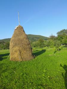 een grote berg hooi in een veld bij Casa Boila in Bîrsana