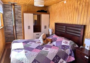 a dog laying on a bed in a bedroom at Cabañas Emma Maicolpue in Osorno