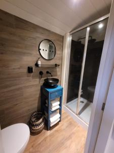 a bathroom with a sink and a mirror at B&B 't Maartensdijkse Bos in Maartensdijk