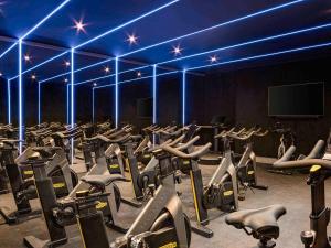 Fitnesscentret og/eller fitnessfaciliteterne på Fairmont Windsor Park