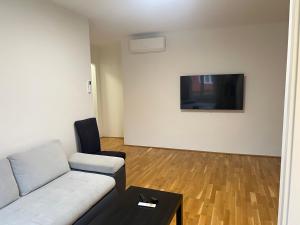 Televízia a/alebo spoločenská miestnosť v ubytovaní Apartment Zhang