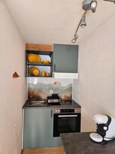 een kleine keuken met een wastafel en een fornuis bij Apartment Klein Matterhorn - Haus Miranda in Täsch