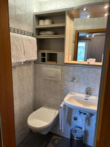 y baño con lavabo y aseo. en Alpina Boutique Hotel Ringgenberg - Adults only !, en Ringgenberg