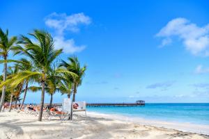 plaża z palmami i molo w obiekcie Honky Tonk Punta Cana w Punta Cana