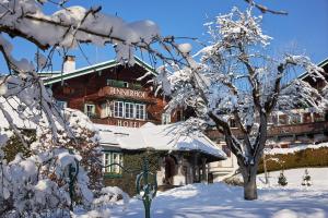 pokryty śniegiem budynek z drzewem przed nim w obiekcie Relais & Châteaux Hotel Tennerhof w mieście Kitzbühel