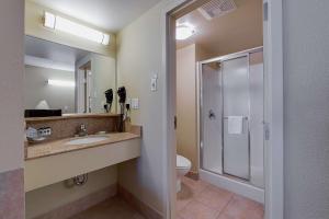 Country Inn & Suites by Radisson, Niagara Falls, ON tesisinde bir banyo