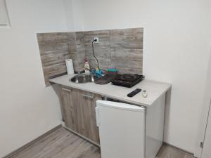 Kuchyň nebo kuchyňský kout v ubytování Apartmani Hub