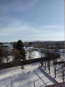 einen schneebedeckten Park mit Bäumen und einer Wasserfläche in der Unterkunft Roses Apartment in Frýdek-Místek