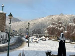 osoba stojąca na ulicy w śniegu w obiekcie Hotel Val De La Cascade w mieście Stavelot