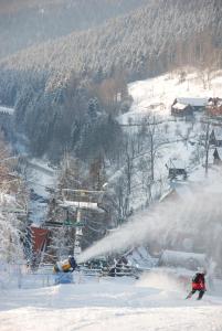 une personne à skis dans la neige à côté d'une remontée mécanique dans l'établissement Domki na Polach Piwniczna-Zdrój, à Piwniczna-Zdrój