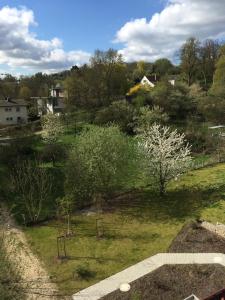 an overhead view of a garden with trees and bushes at Ferienwohnungen Jakobsberg in Bamberg