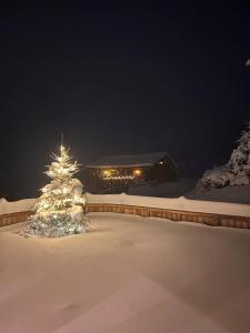 uma árvore de Natal coberta de neve em frente a uma casa em Das Grünholz Aparthotel em Mühlbach am Hochkönig