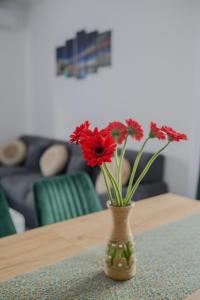 eine Vase mit roten Blumen auf einem Tisch in der Unterkunft Apartament Radiana in Baile Felix