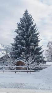 Un grand arbre de Noël avec de la neige dans l'établissement Hotel Wieser, à Mittersill