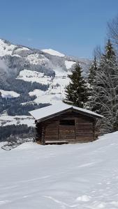 une cabane en rondins dans la neige avec une montagne dans l'établissement Hotel Wieser, à Mittersill