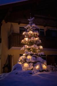 Alpenhotel Bergzauber през зимата