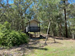 Home Amongst the Gum Trees في غولد كوست: كوخ صغير في الغابة مع أرجوحة